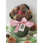 Chimney 47136 Cone Starter Harvest Basket. 12 Pine Cone Fire Starters In A Green Wooden Planter
