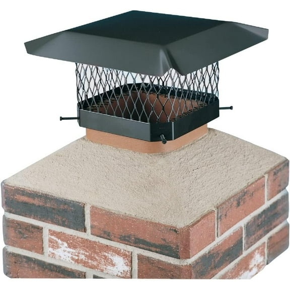 Chimney cap- 1 cap