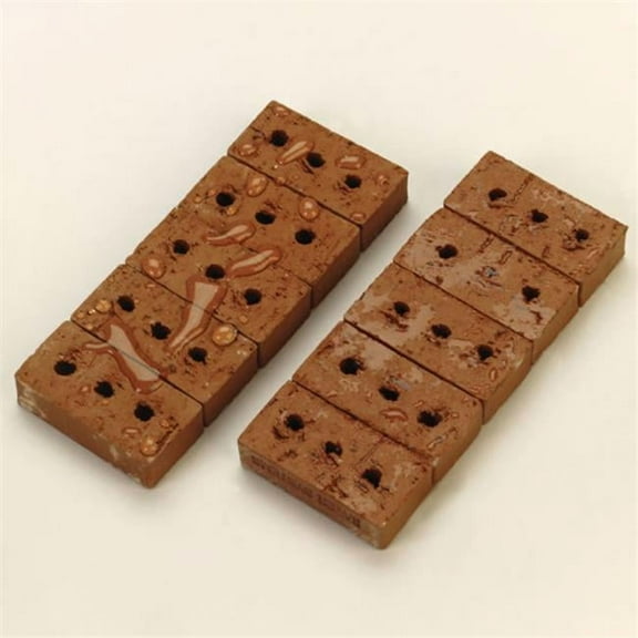 ChimneySaver Sample Bricks - 10/set