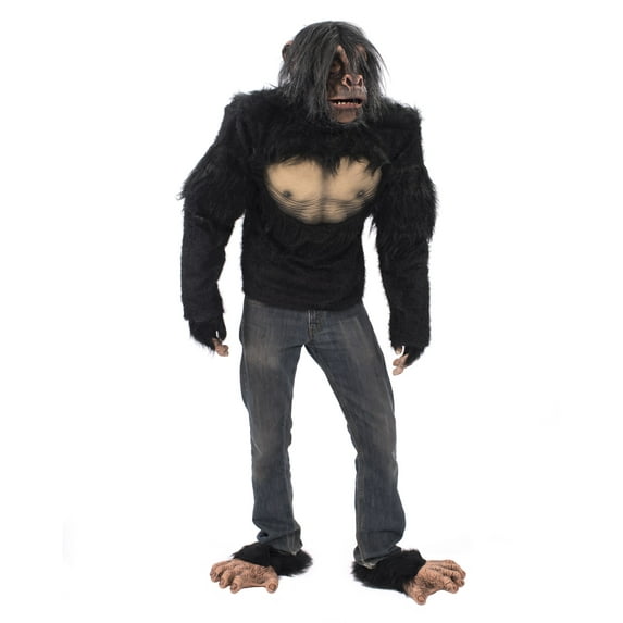 Chimp, Chimp Kit