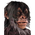 thumbnail image 1 of Chimp Mask, 1 of 1