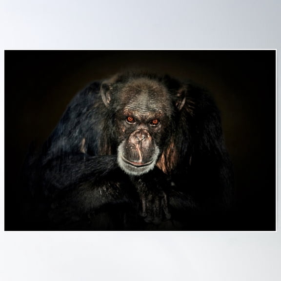 Chimp Poster Wall Art, Modern Wall Decor For Living Room Bedroom, 12x18 UNFRAMED