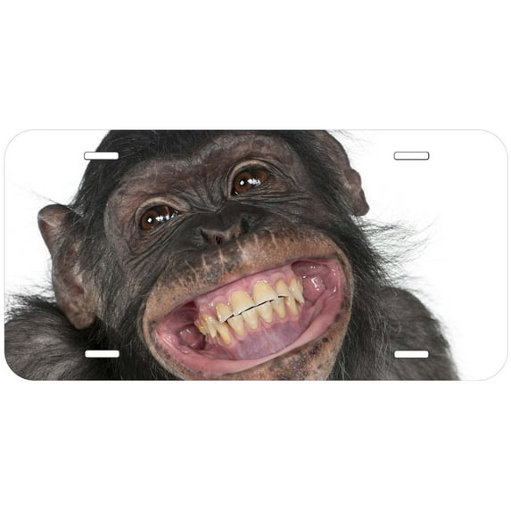Chimpanzee Happy Monkey Novelty Car Auto License Plate