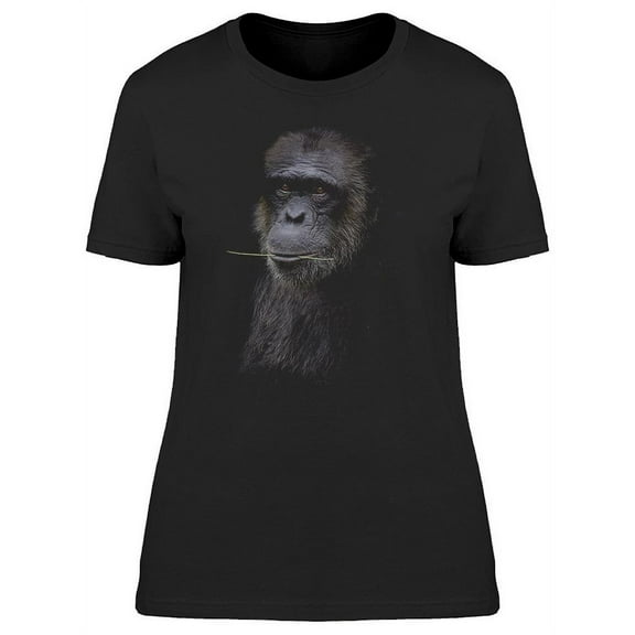 Chimpanzee In Darkness T-Shirt Women -Image by Shutterstock, Female Large
