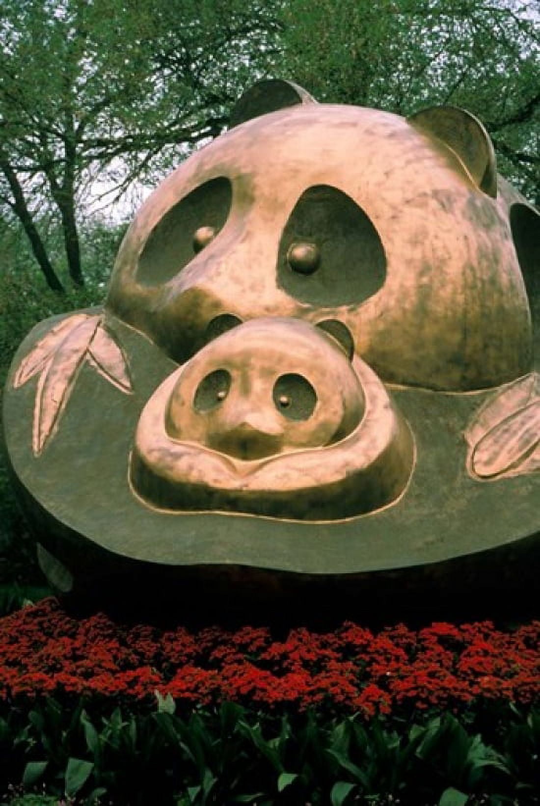 China Chengdu Giant Panda bear Sanctuary Canvas Art - Cindy Miller Hopkins DanitaDelimont (25 x 36)
