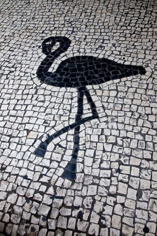 China Macau Portuguese tile designs - flamingo Senate Square Canvas Art - Julie Eggers DanitaDelimont (16 x 24)