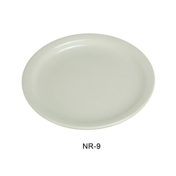 China Narrow Rim Normandy Plate, American White - 9.5 in. - Pack of 24