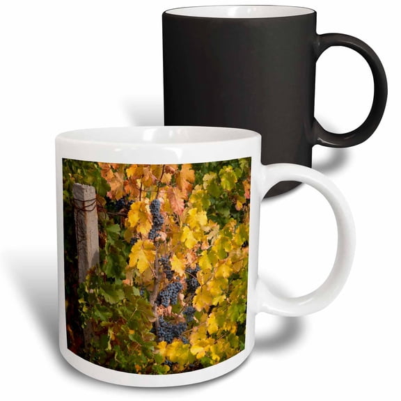 3drose, China, Ningxia. Merlot Grapes at Domaine Helan Mountain Winery., 11oz Magic Transforming Mug