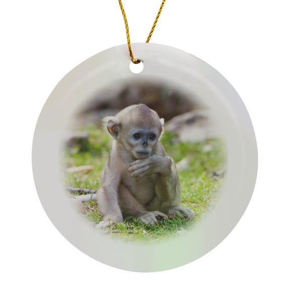3drose, China, Qinling Mountains, Baby Golden Monkey - As07 Aga0016 - Alice Garland, Circle Porcelain Ornament