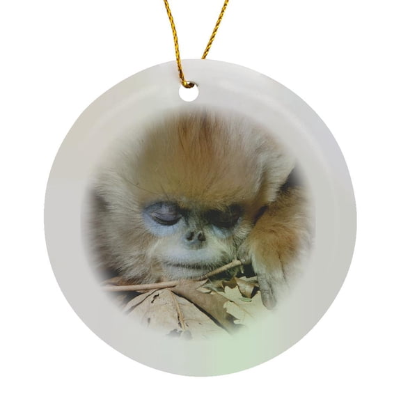 3drose, China, Qinling Mountains, Golden Monkey Sleeping - As07 Aga0032 - Alice Garland, Circle Porcelain Ornament