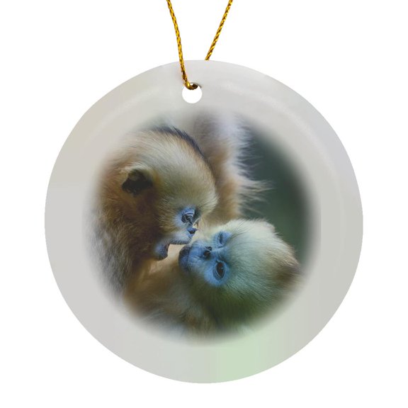 3drose, China. Wild Snub-nosed Monkey Babies Playing., Circle Porcelain Ornament