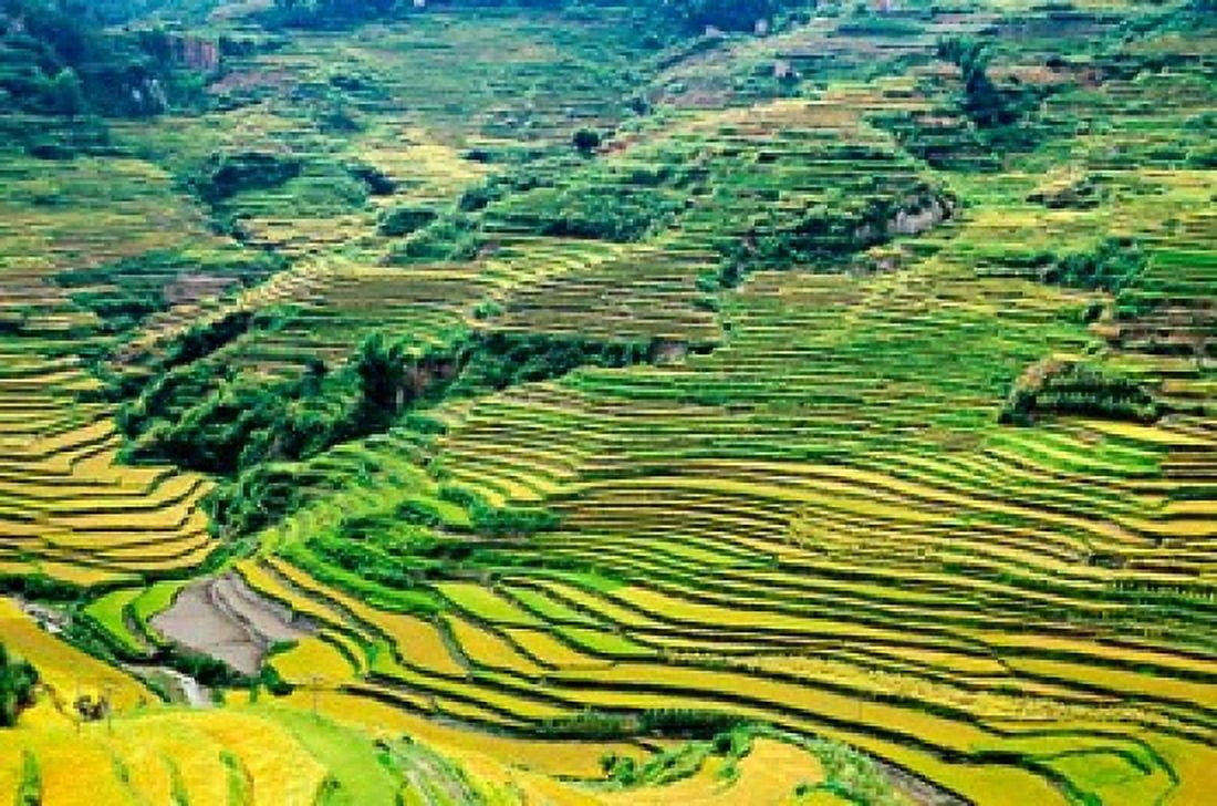 China Yuanjiang Cloudy Sea Terrace Agriculture Canvas Art - Charles Crust DanitaDelimont (37 x 24)