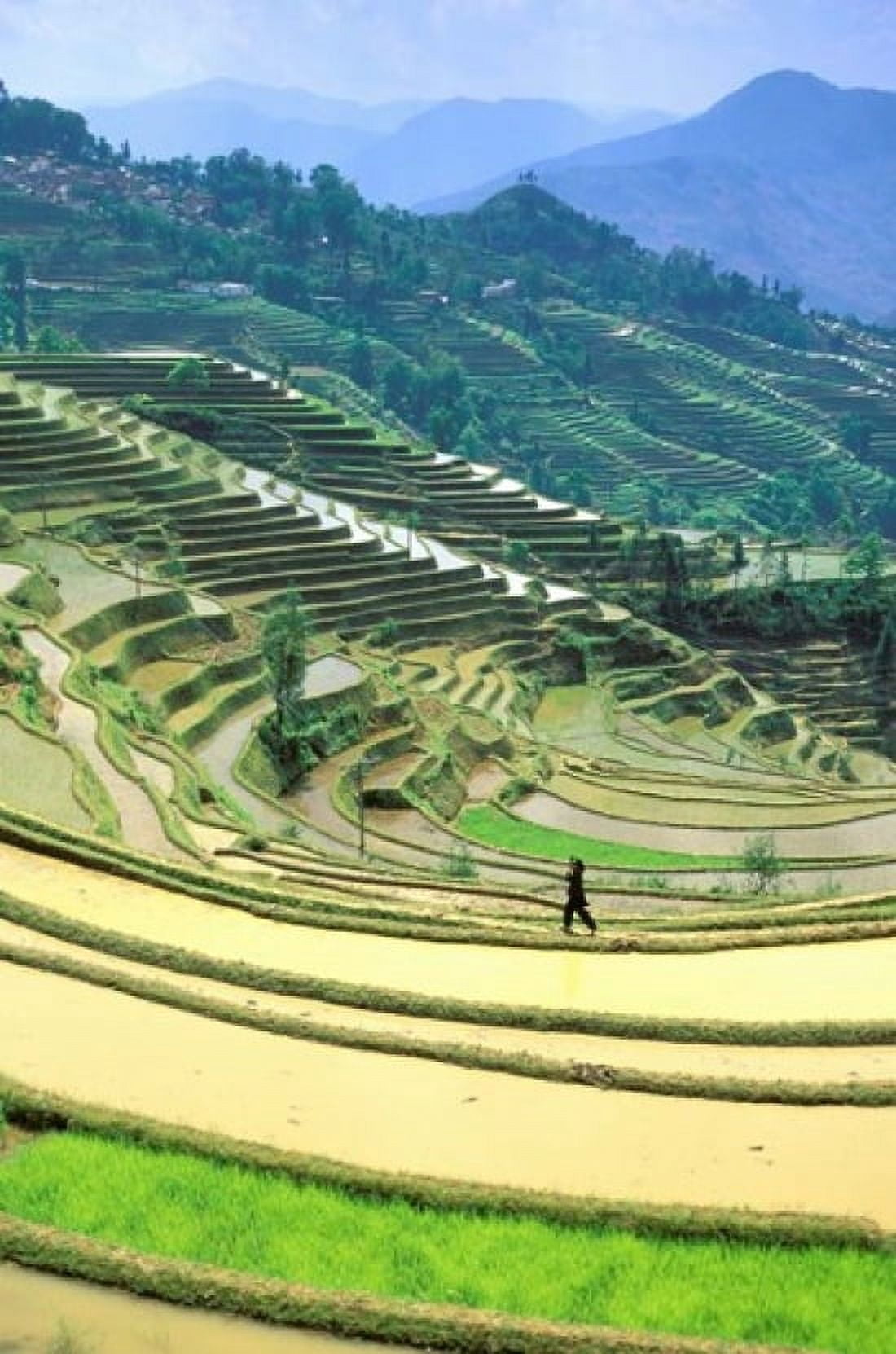 China Yunnan Yuanyang Co Rice terraces Mount Ailo Canvas Art - Charles Crust DanitaDelimont (11 x 17)