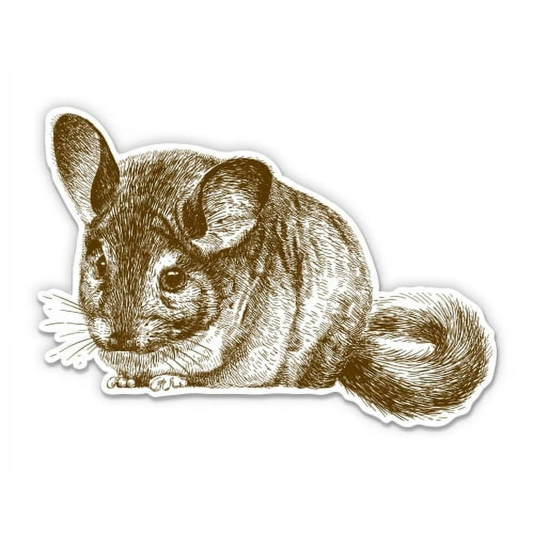 Chinchilla and Flowers | Vinyl Sticker Chinchilla and Flowers | Vinyl Sticker