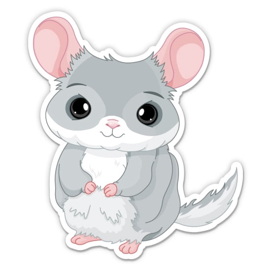 Chinchilla - 3