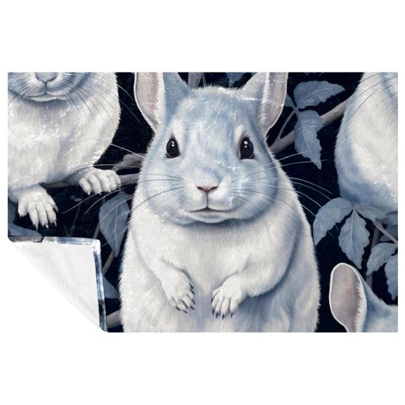 Chinchilla Blankets & Throws: Soft and Warm Microfiber Throw Blanket, Printed Lightweight Sofa, Bed, Couch, Office, Camping Blanket