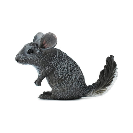 Chinchilla, Chincilldae Rodent, Rubber Animal, Hand Painted, Realistic Toy Figure, Model, Replica, Kids, Educational, Gift, 2" CH229 BB119