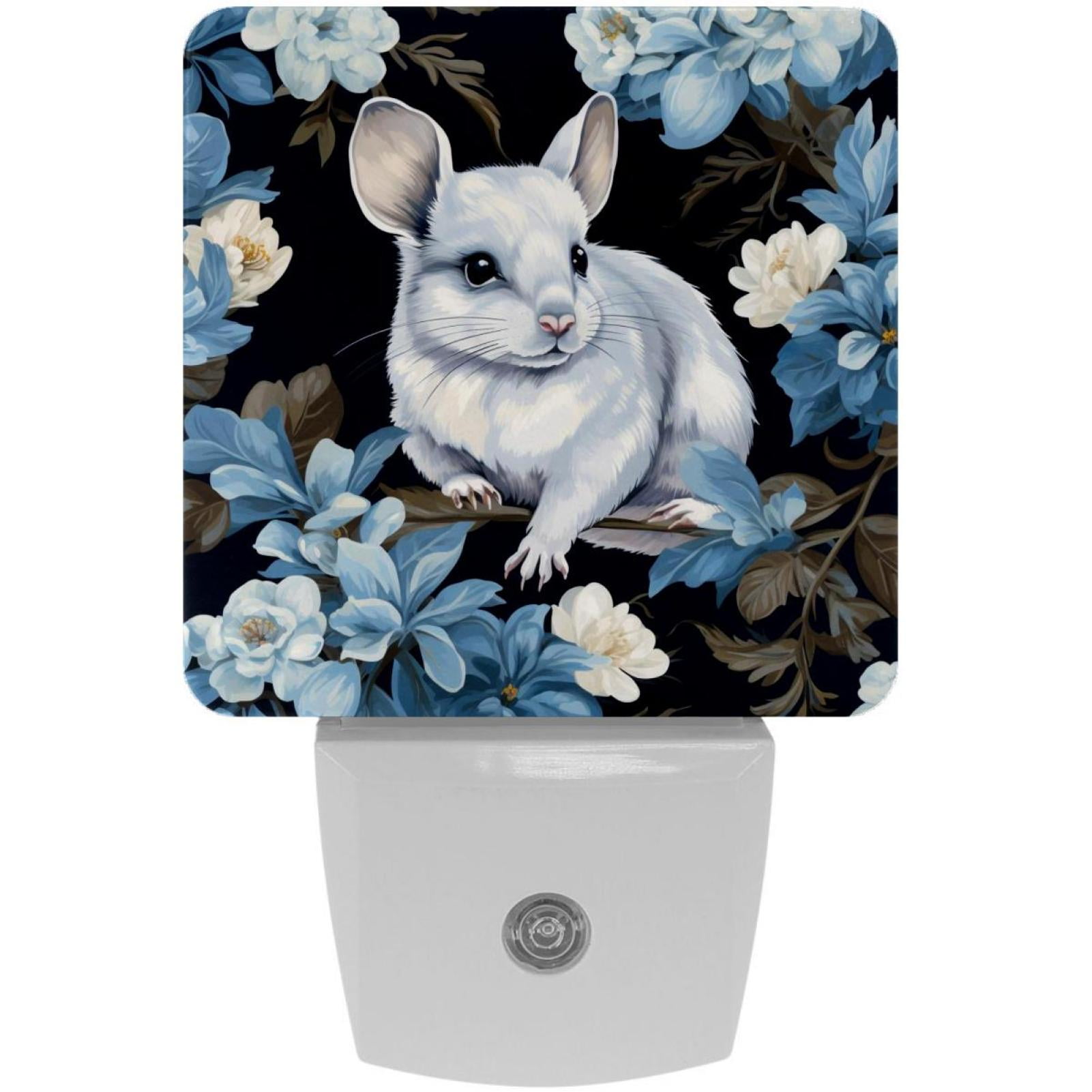 Chinchilla Enhance Your Space with LED Square Night Lights Versatile
