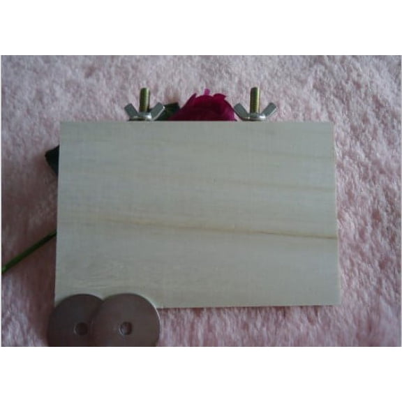 Chinchilla Hamster Springboard Squirrel Parrot Bird Standing Platform Wooden Pet Toy