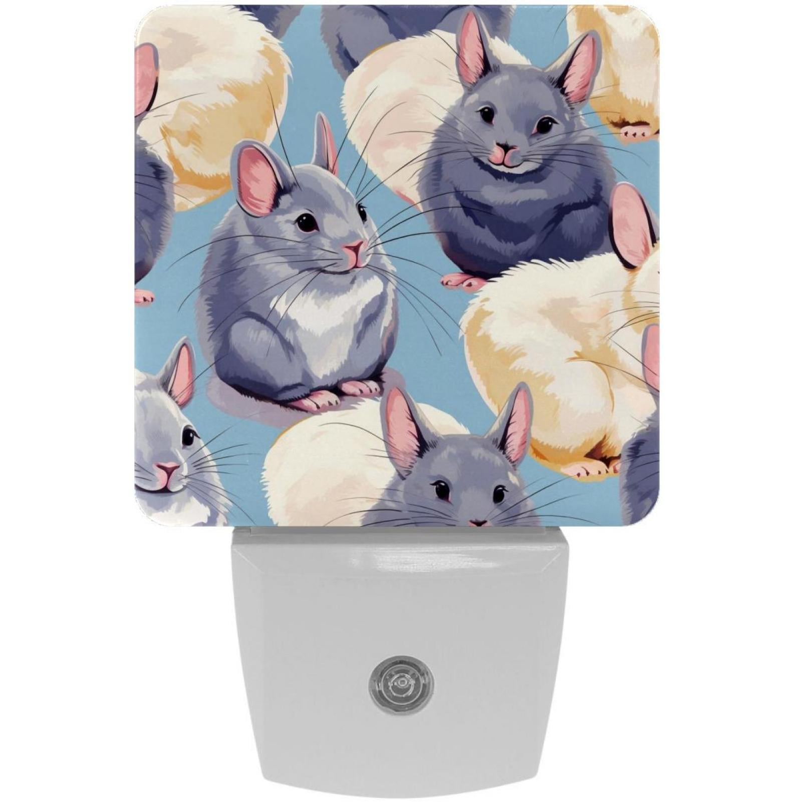 Chinchilla LED Square Night Light for Bedroom and Bathroom Energy
