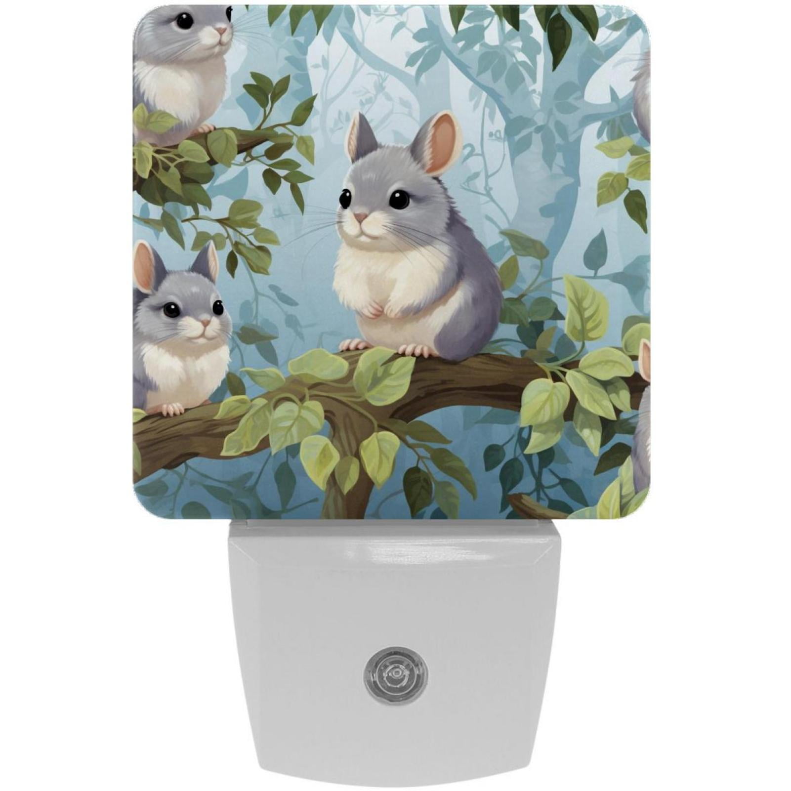 Chinchilla LED Square Night Lights Compact and Multifunctional