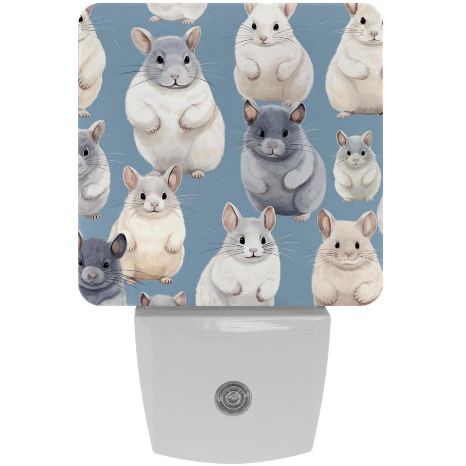 Chinchilla LED Square Night Lights Compact and Multifunctional