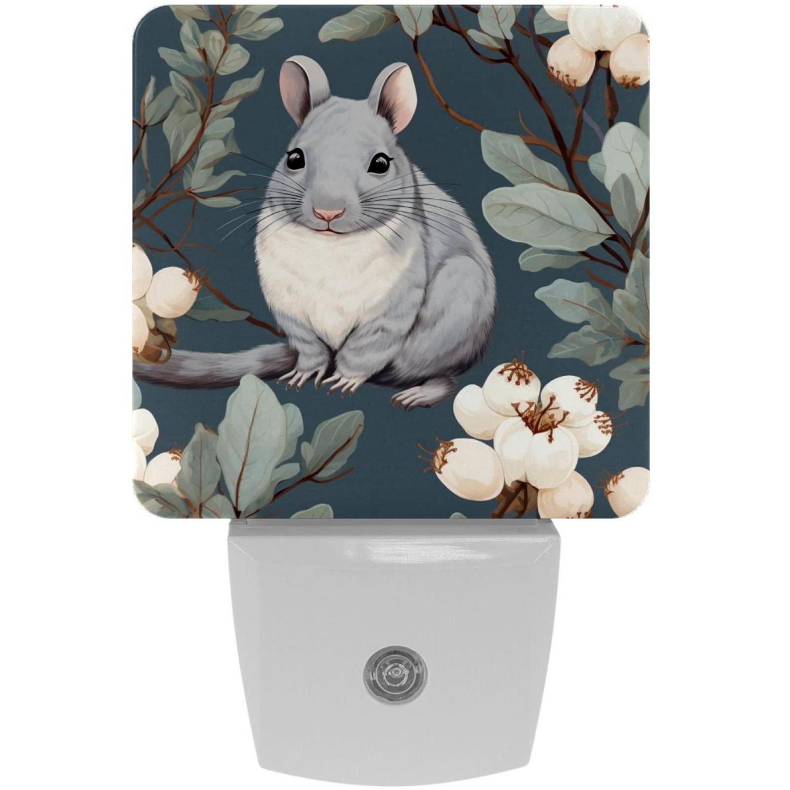 Chinchilla LED Square Night Lights Energy Efficient & Elegant