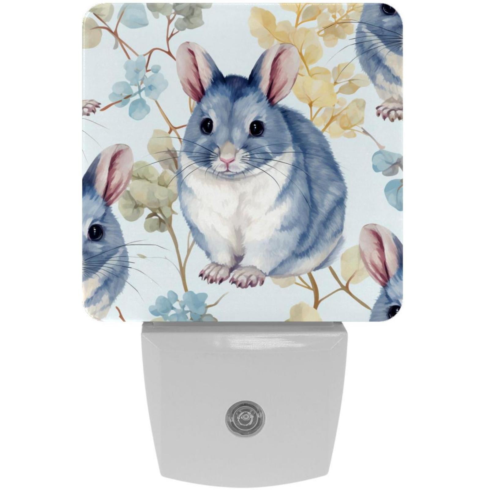 Chinchilla LED Square Night Lights Energy Efficient and Sleek Design