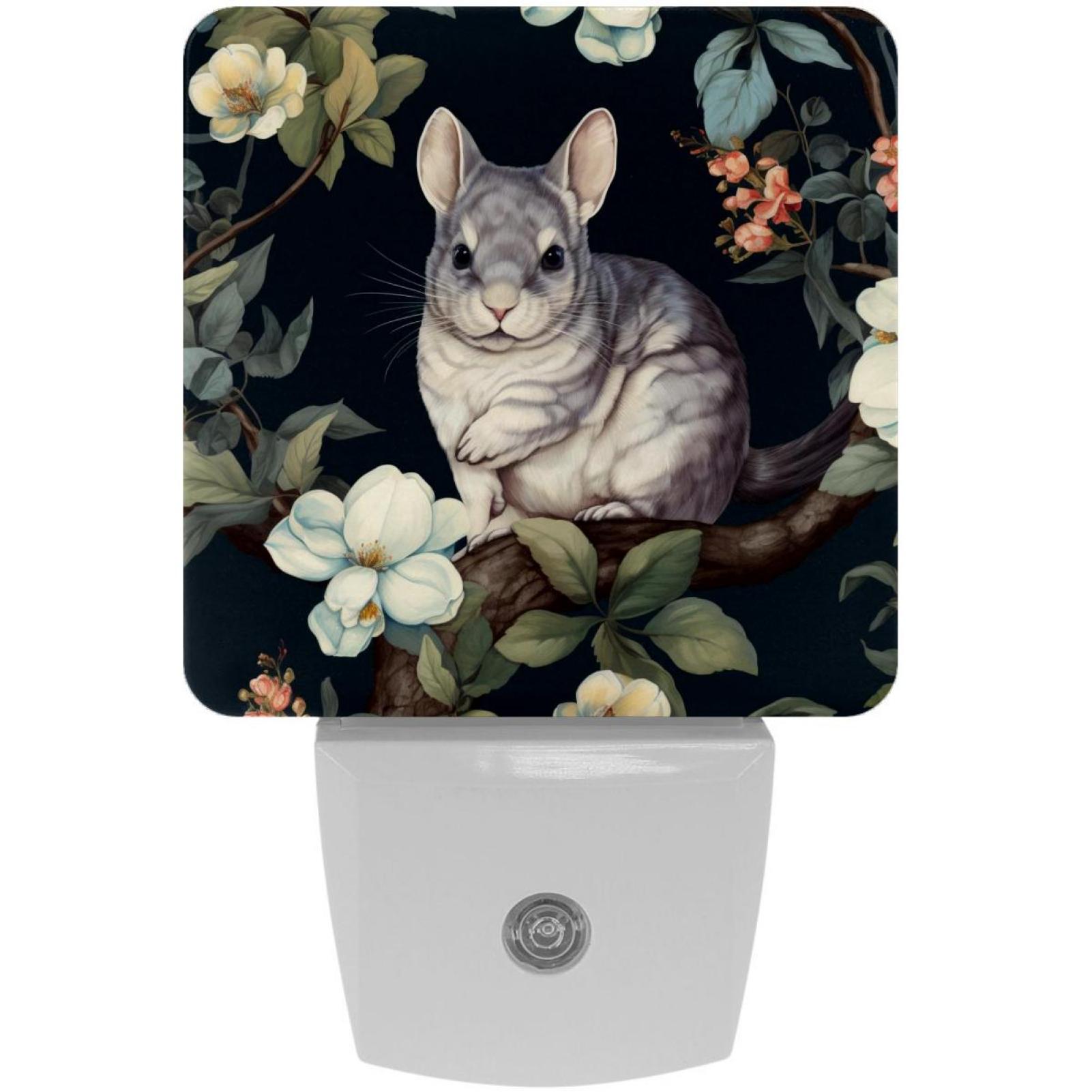 Chinchilla LED Square Night Lights EnergyEfficient and Stylish