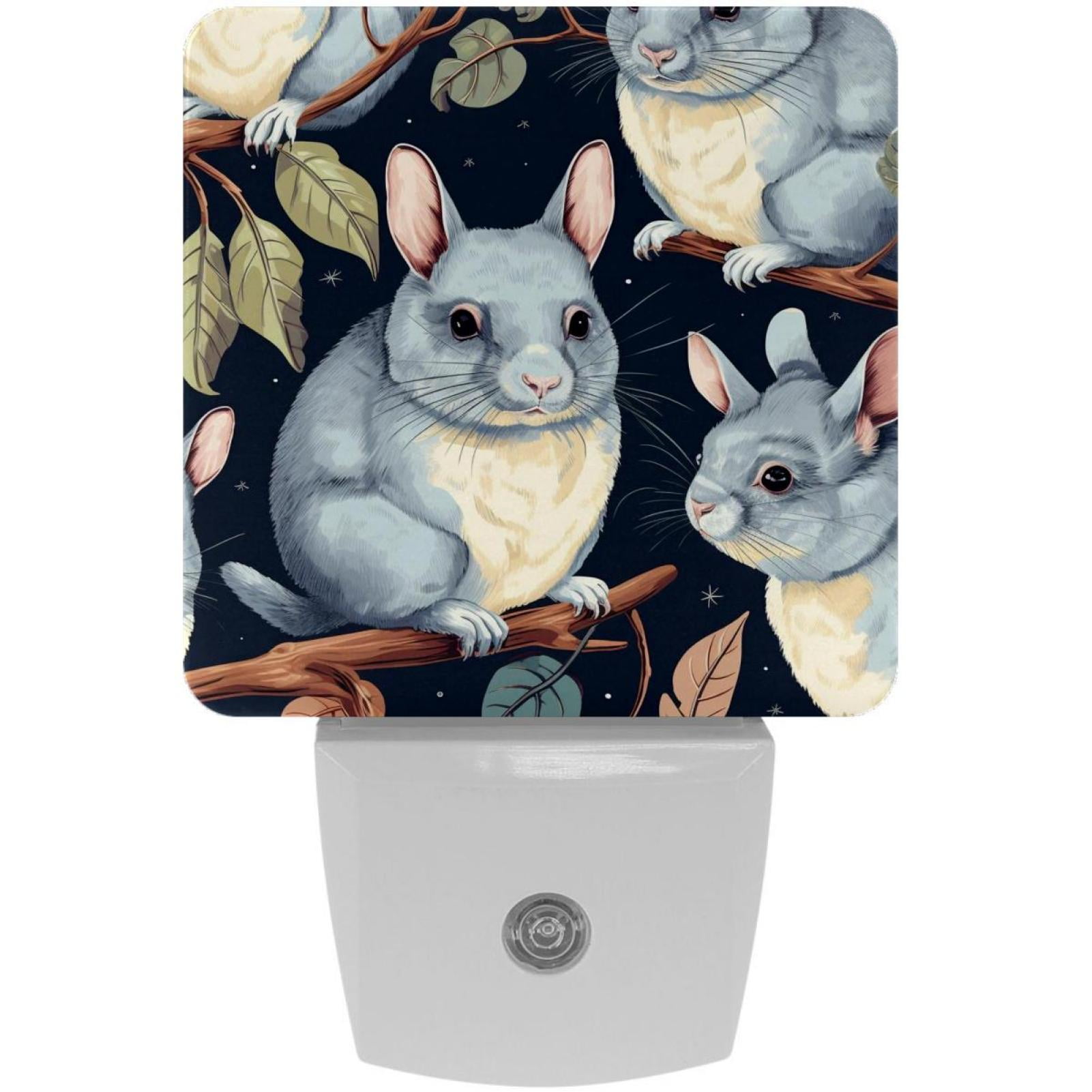 Chinchilla LED Square Night Lights EnergyEfficient and Stylish
