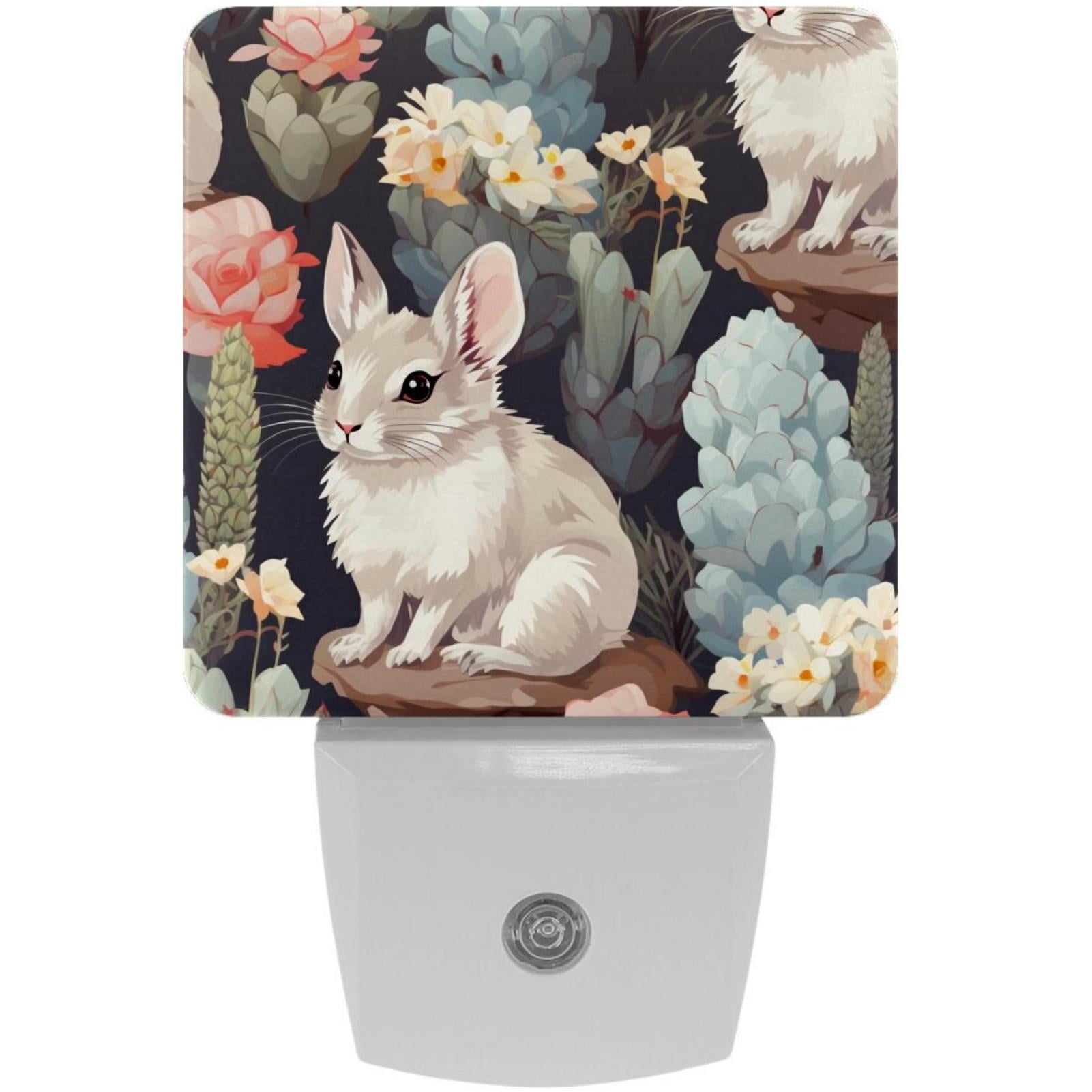 Chinchilla LED Square Night Lights Energy Efficient and Stylish