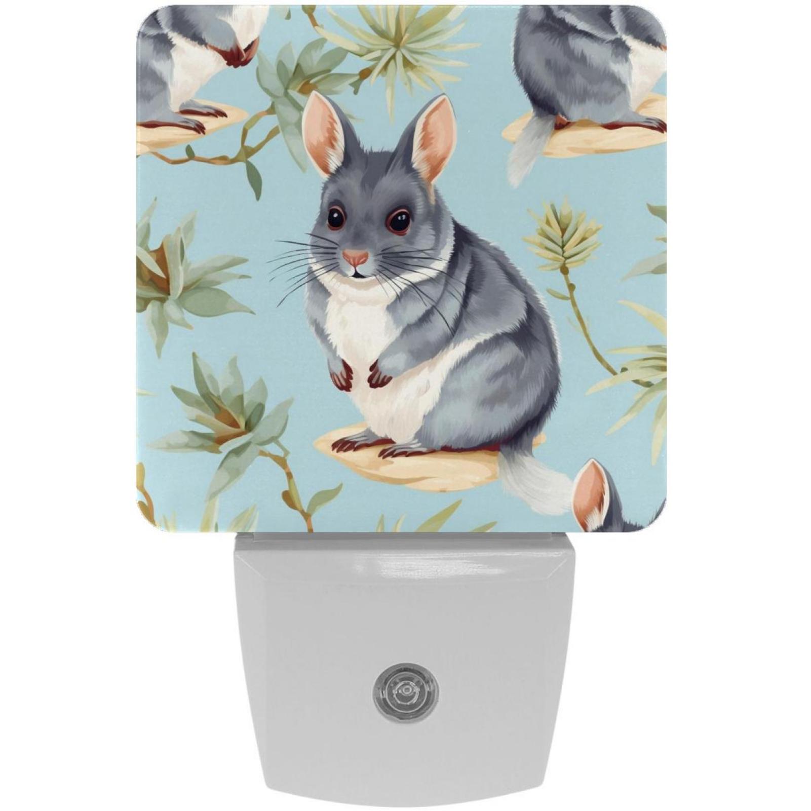 Chinchilla LED Square Night Lights Energy Efficient and Stylish