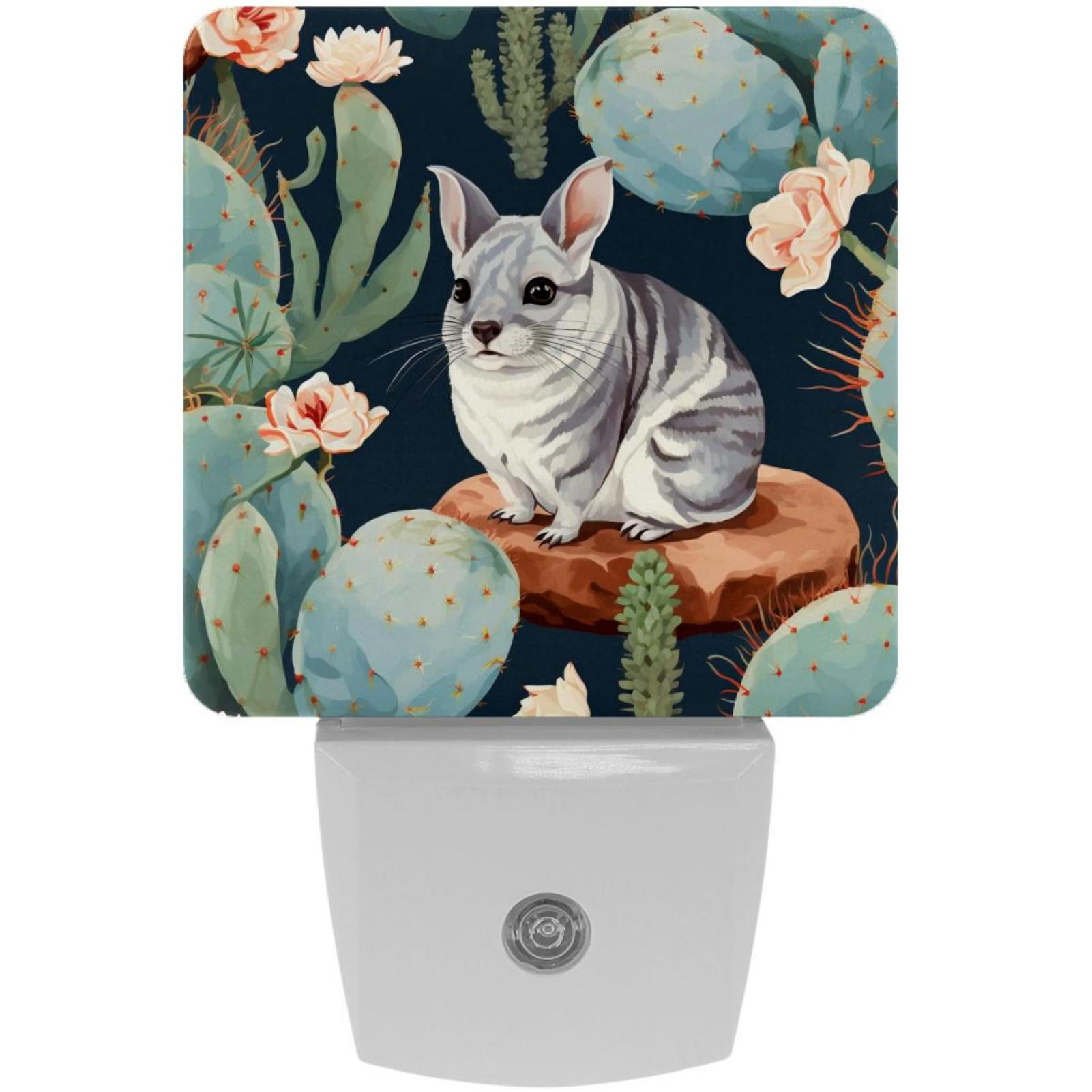 Chinchilla LED Square Night Lights Modern Design, Soft Glow, Energy