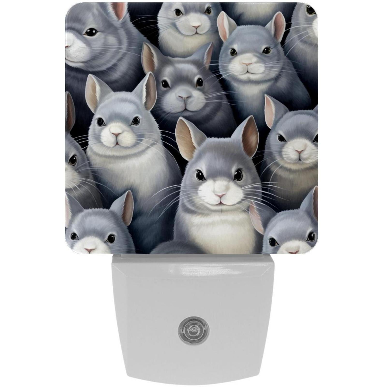 Chinchilla LED Square Night Lights Modern and Versatile Plugin