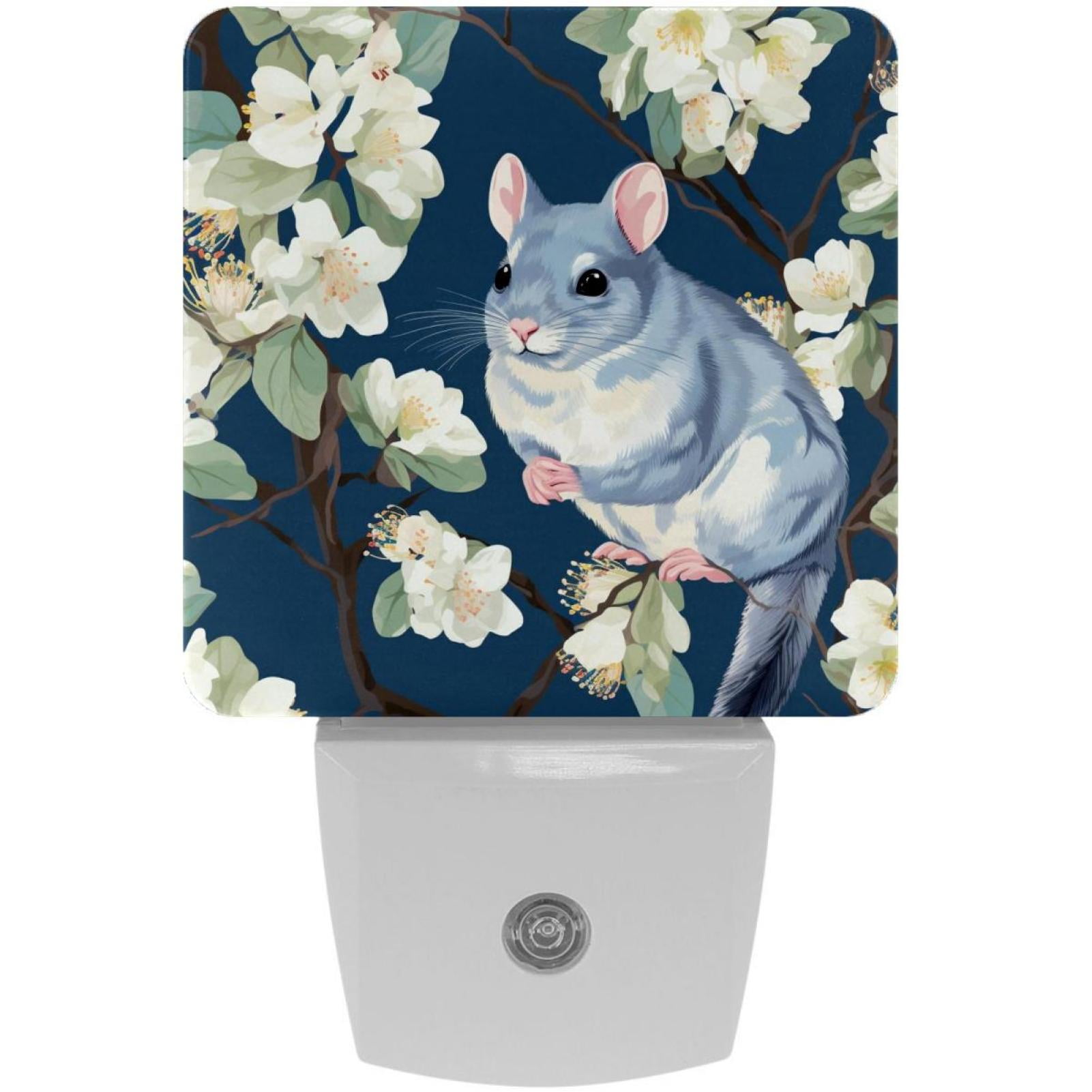 Chinchilla LED Square Night Lights Modern and Versatile Plugin
