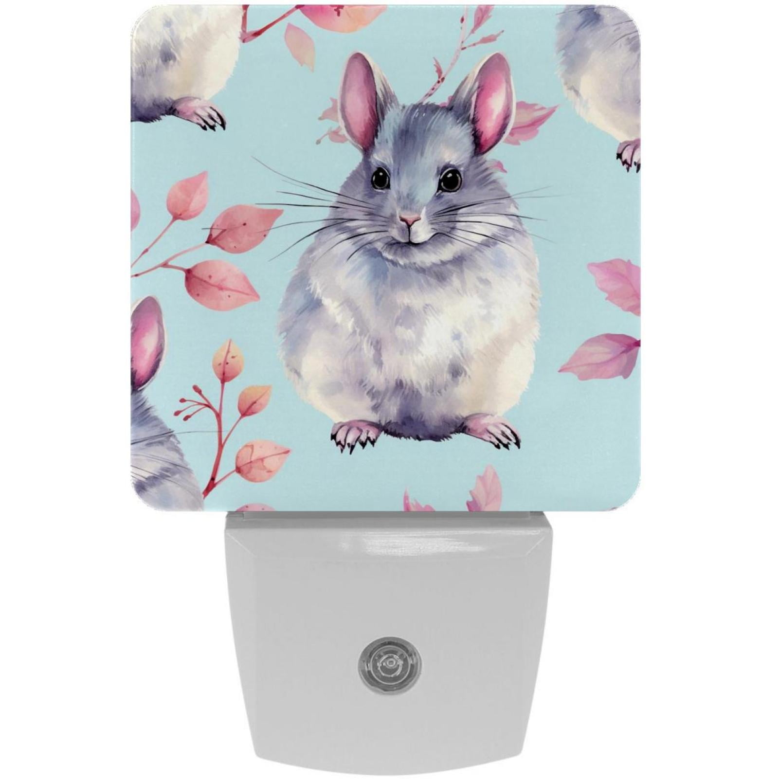 Chinchilla LED Square Night Lights Modern and Versatile Plugin