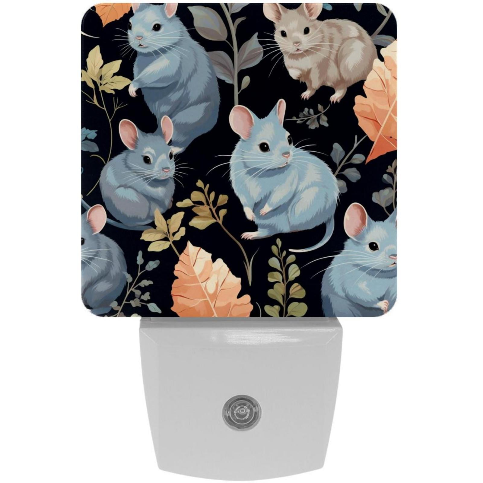 Chinchilla LED Square Night Lights Small and Bright Illumination for