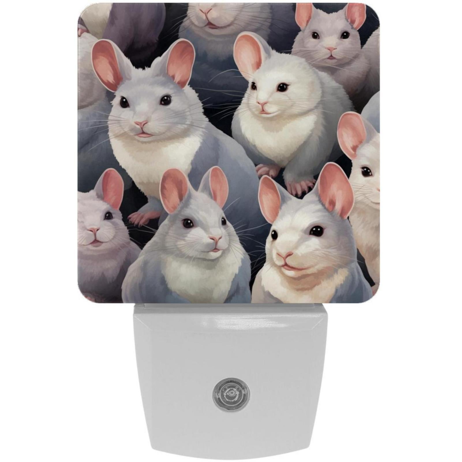 Chinchilla Square LED Night Lights Small, Portable Lighting for Any