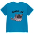 thumbnail image 1 of Chinchillin Chinchilla Youth T Shirt Sapphire YSM, 1 of 1