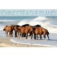 thumbnail image 1 of Chincoteague Island, Virginia, Horses on Beach (36x54 Giclee Gallery Art Print, Vivid Textured Wall Decor), 1 of 3