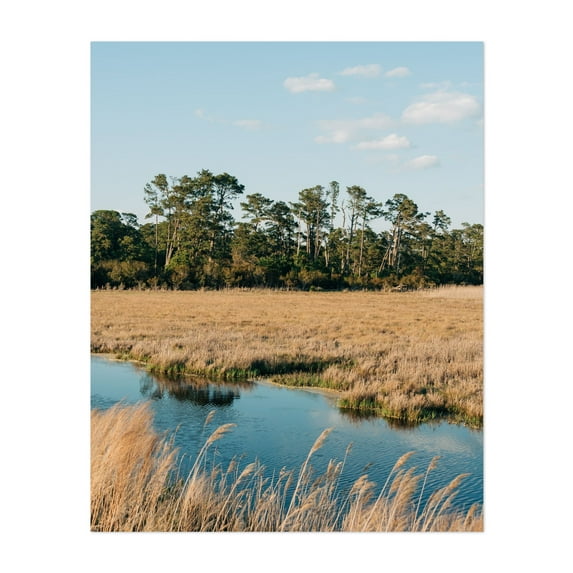 Chincoteague Marsh 02 - Chincoteague Virginia Photography Landscape Nature Rural Scenic Coastal Water Forest Unframed Wall Art Print 24 x 32 inches