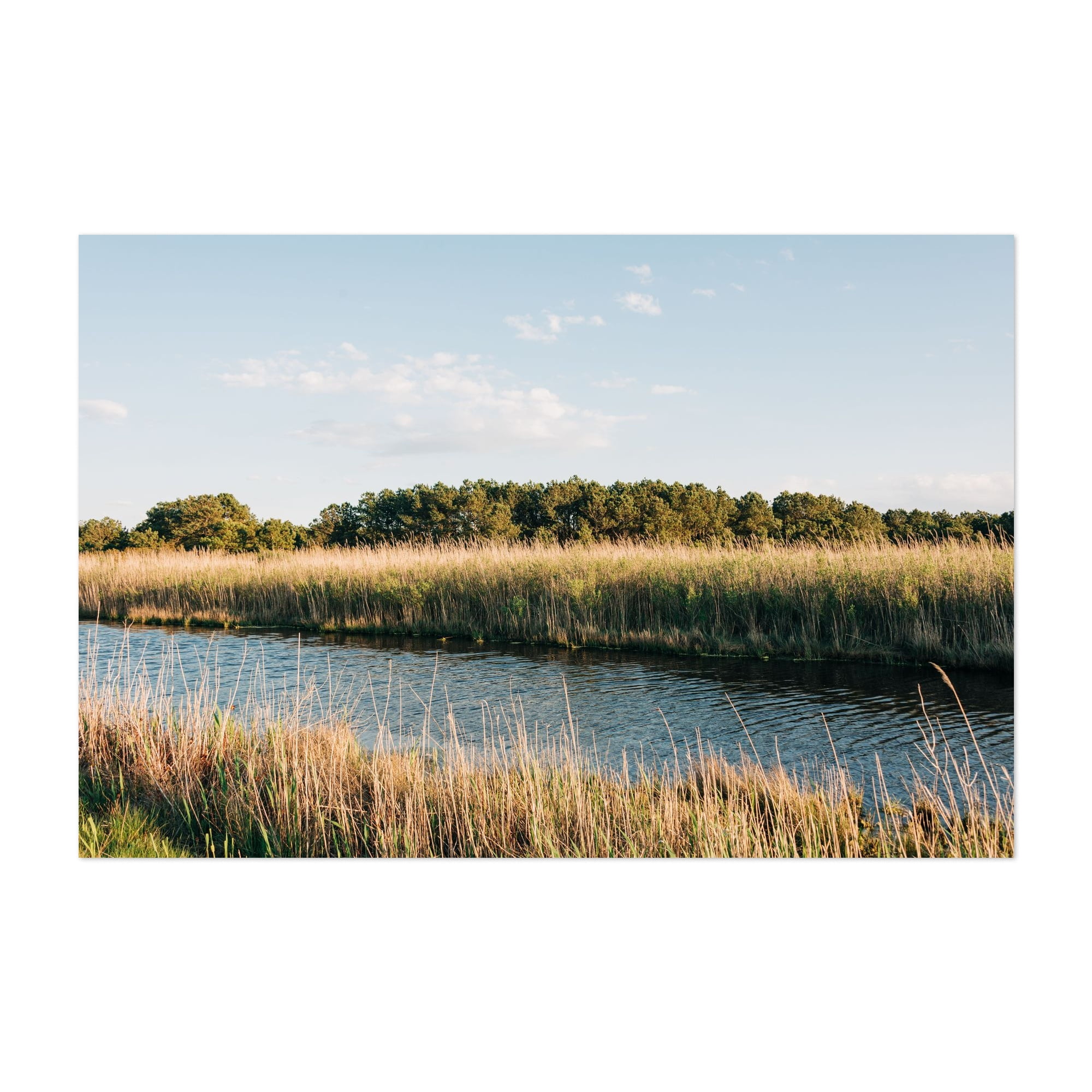 Chincoteague Marsh 04 - Chincoteague Virginia Photography Nature Landscape  Scenic Rural Water Forest Summer Unframed Wall Art Print 40 x 60 inches -  Walmart.com, image size:2000x2000