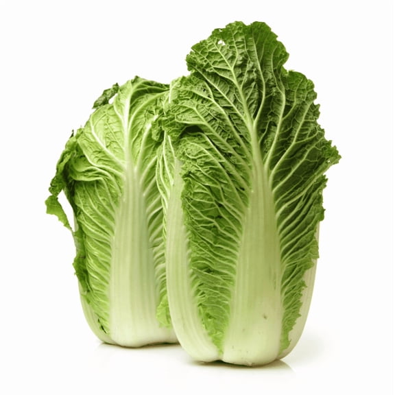 Chinese Cabbage Plants Live for Planting, Napa Cabbage, Michihili Cabbage Plant, Garden Vegetable, 3-5 Inch Tall, 2 Plants in Pot