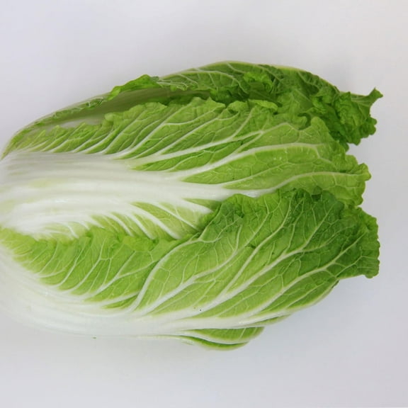 Chinese Cabbage Seeds - Kyoto No. 3-2 g Packet ~548 Seeds - Non-GMO, Heirloom - Asian Garden Vegetable & Microgreens