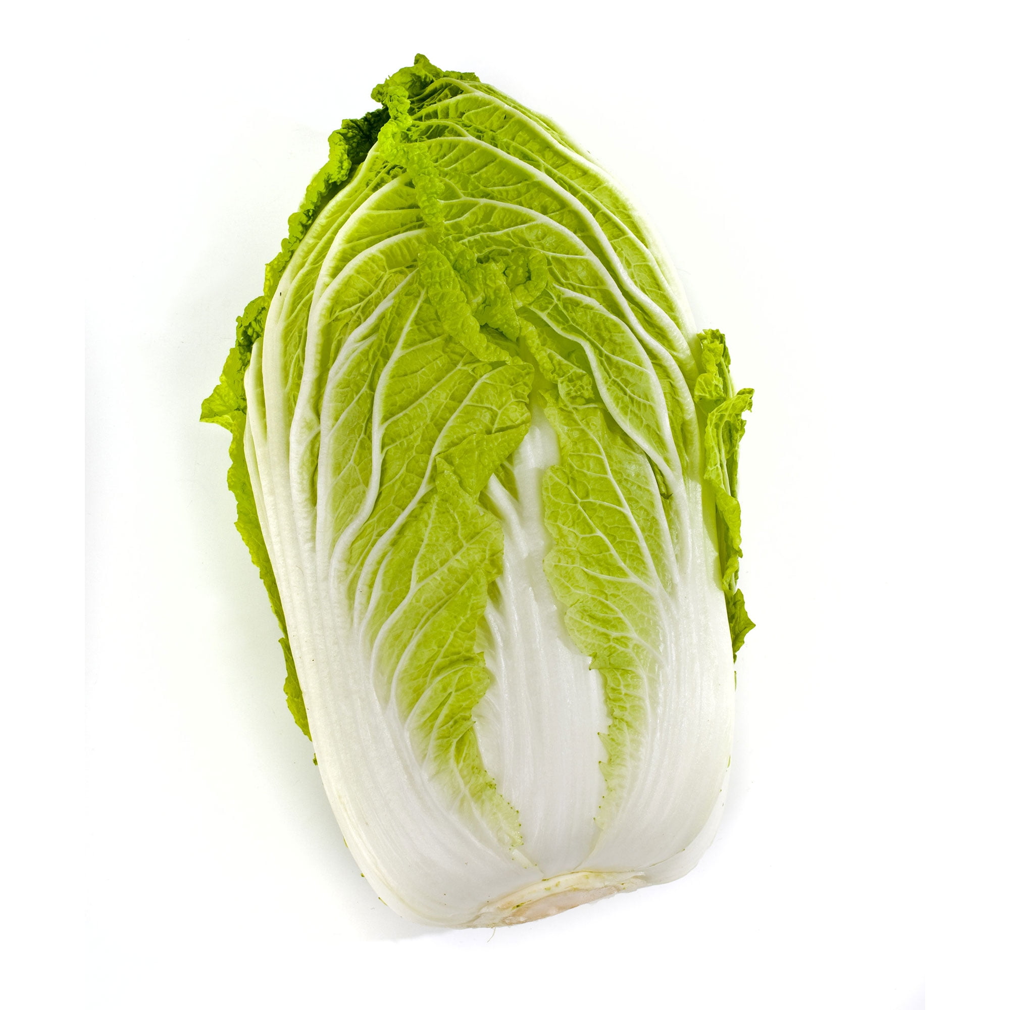 Chinese Cabbage Seeds - Matsushima No. 2 - 5 Lb Bulk ~688000 Seeds - Non-GMO, Heirloom - Asian Garden Vegetable & Microgreens