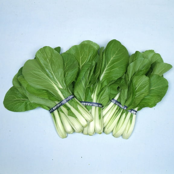Chinese Cabbage Seeds - Osaka Shirona - 4 g Packet ~1640 Seeds - Non-GMO, Heirloom - Asian Garden Vegetable & Microgreens