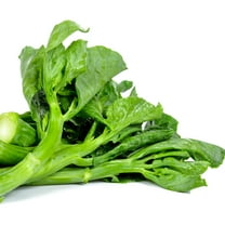 Chinese Cabbage Seeds - Suiho - Hybrid - 2 g Packet ~452 Seeds - Non-GMO, F1 Hybrid - Asian Garden Vegetable