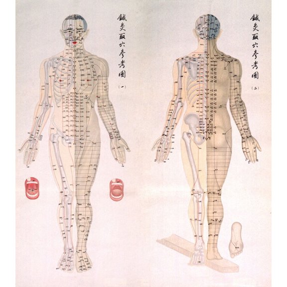 Chinese Chart Of Acupuncture Points On A Male Body History (24 x 36)