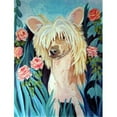 thumbnail image 1 of Chinese Crested Flag - Garden Size, 11 x 15 in., 1 of 1