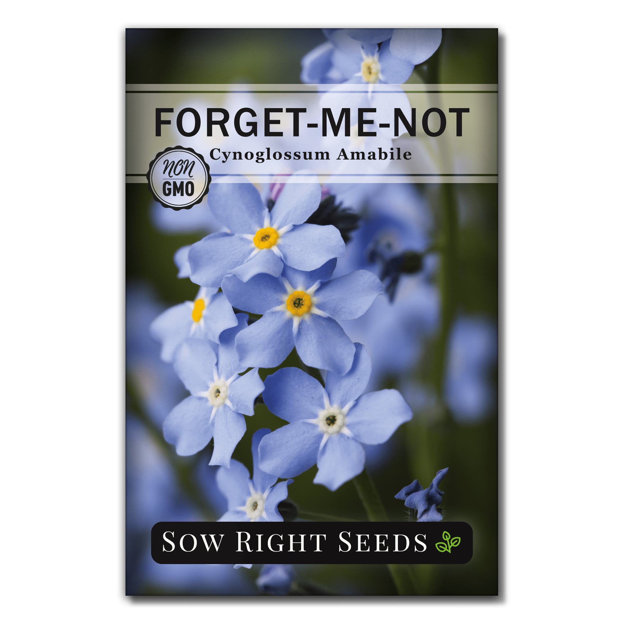 Chinese Seeds Non GMO Heirloom Varieties for Planting